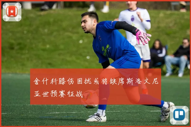 舍什科膝伤困扰或将缺席斯洛文尼亚世预赛征战