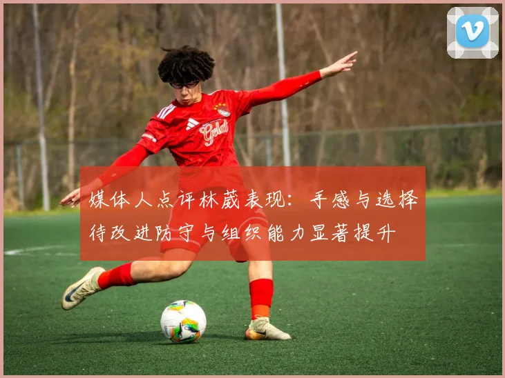 媒体人点评林葳表现：手感与选择待改进防守与组织能力显著提升