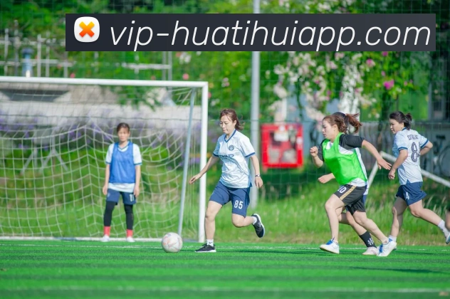 华体会体育发展历程